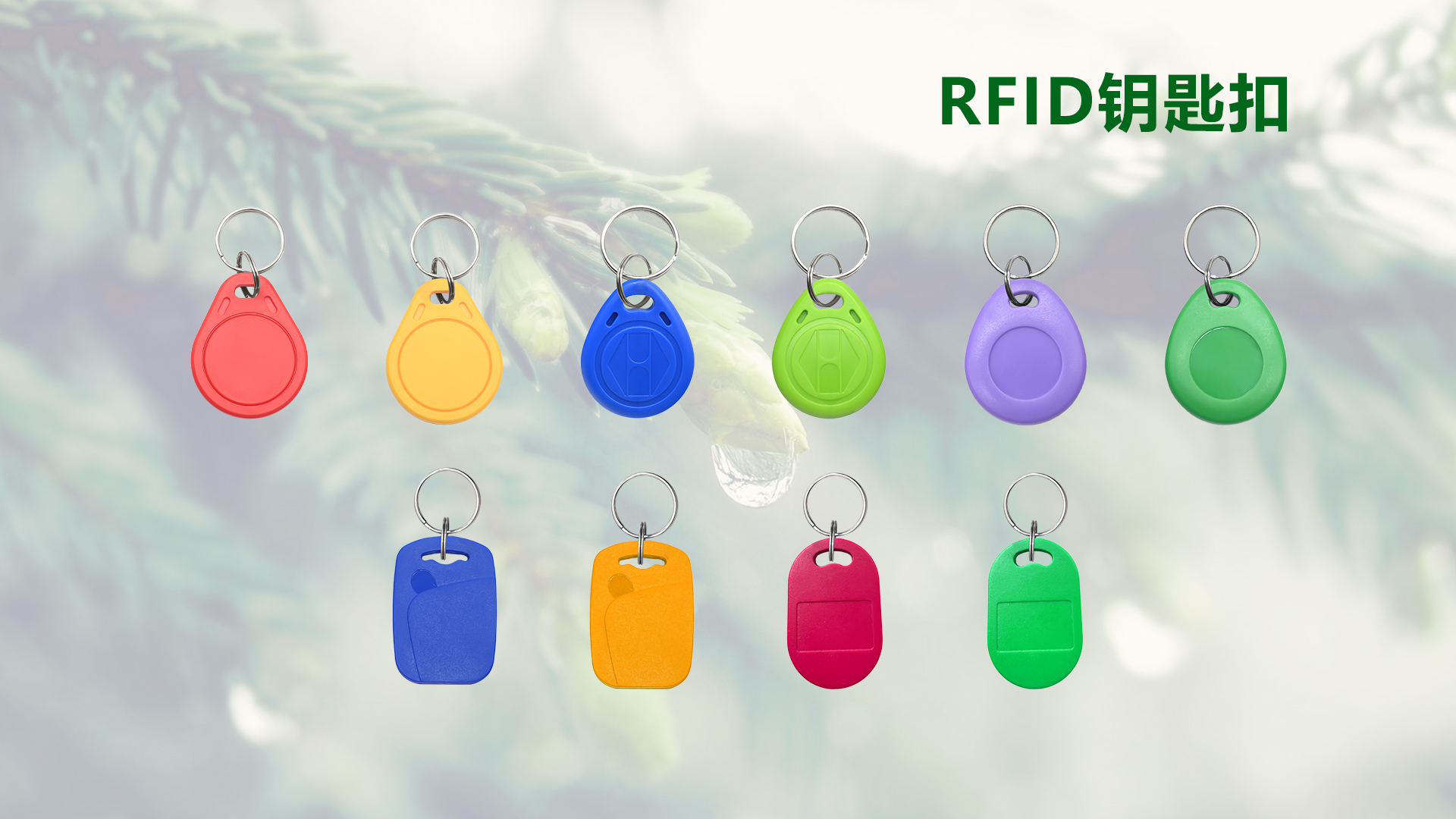 微信图片_20250929105639_456_127