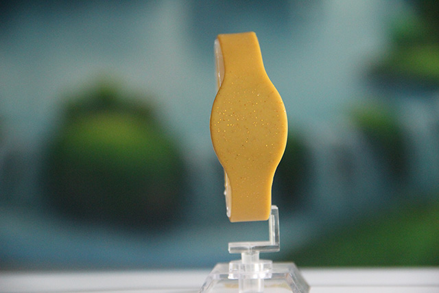 IC腕带芯片厂家：IC腕带芯片的应用